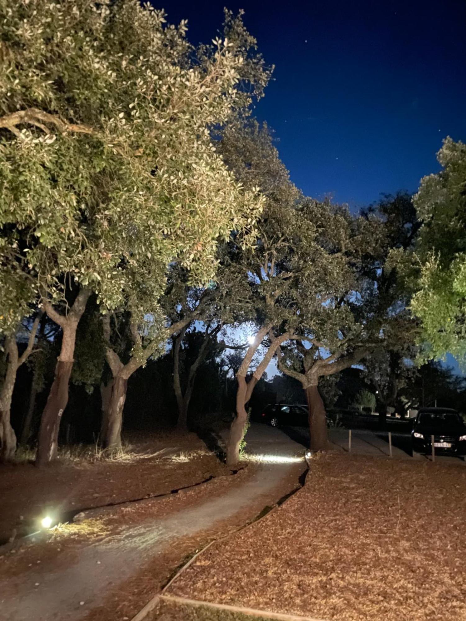 A Espera - Turismo Rural,Melides Bagian luar foto